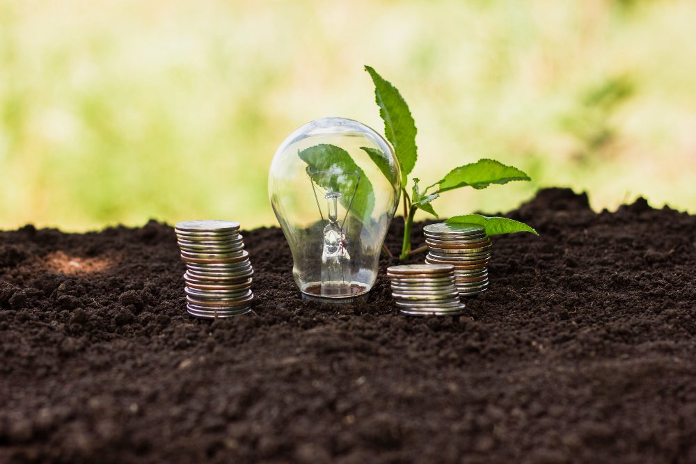 Navigating the Seed Funding Landscape in 2025